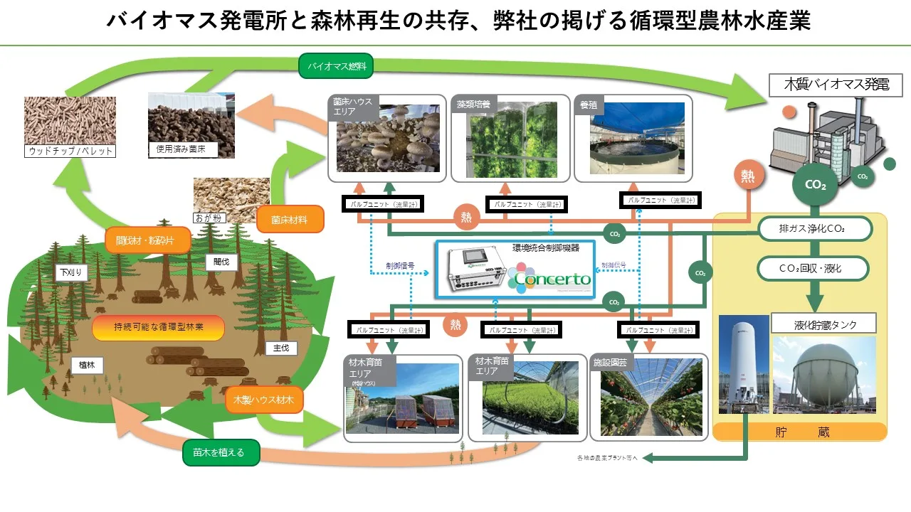 バイオマス発電所と森林再生の共存　循環型農林水産業